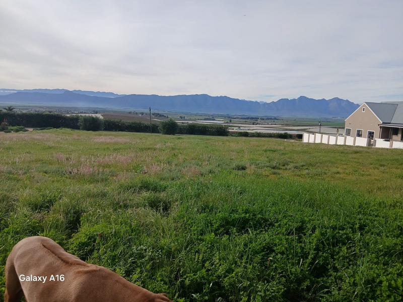 0 Bedroom Property for Sale in Riebeek Kasteel Western Cape